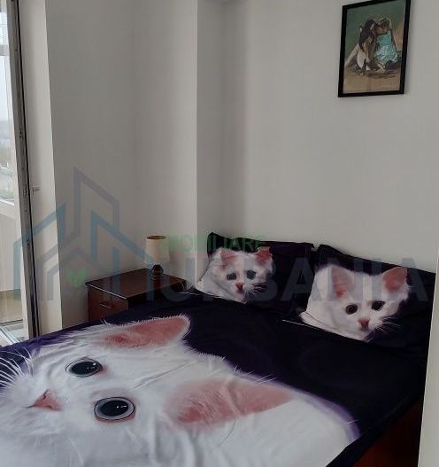 Închiriez apartament - Poză 4