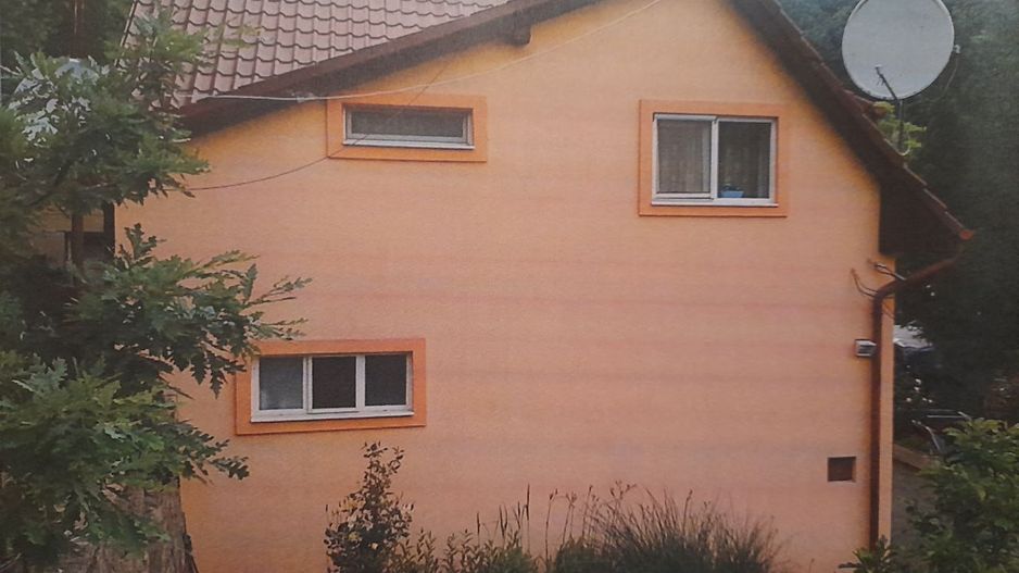 PROPRIETATE VÂNDUTĂ Casă conac cu 15.000 mp deal împădurit la Barațca, - Poză 4