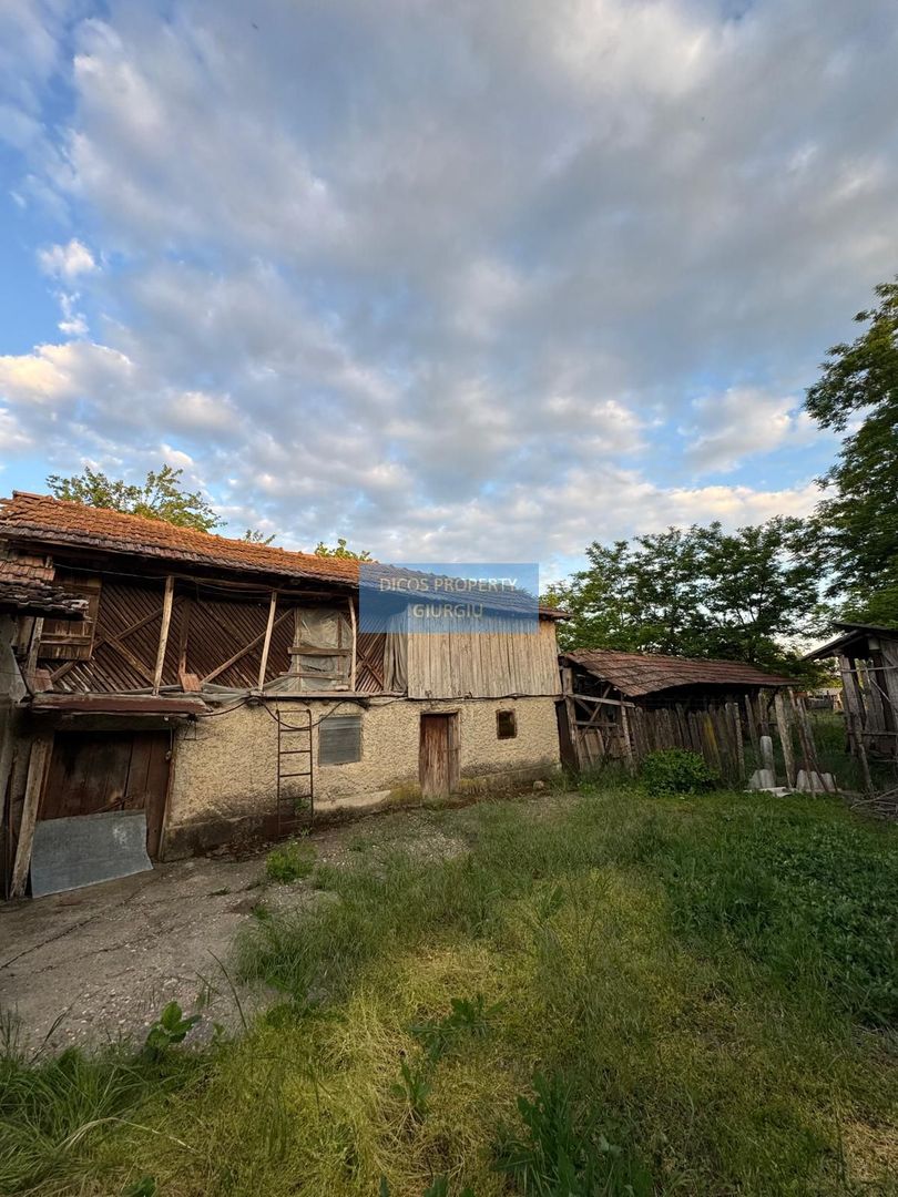 Casă + Spațiu Comercial – Oinacu, 2.658 mp teren - Poză 4