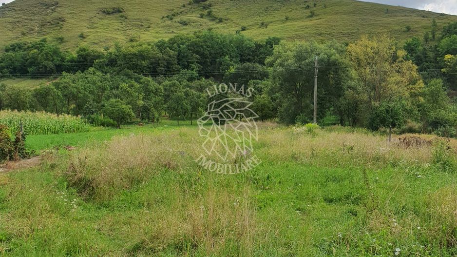 Casa 3 camere 126 mp-teren 4000 mp-Loc. Matei, Zona Centru - Poză 7