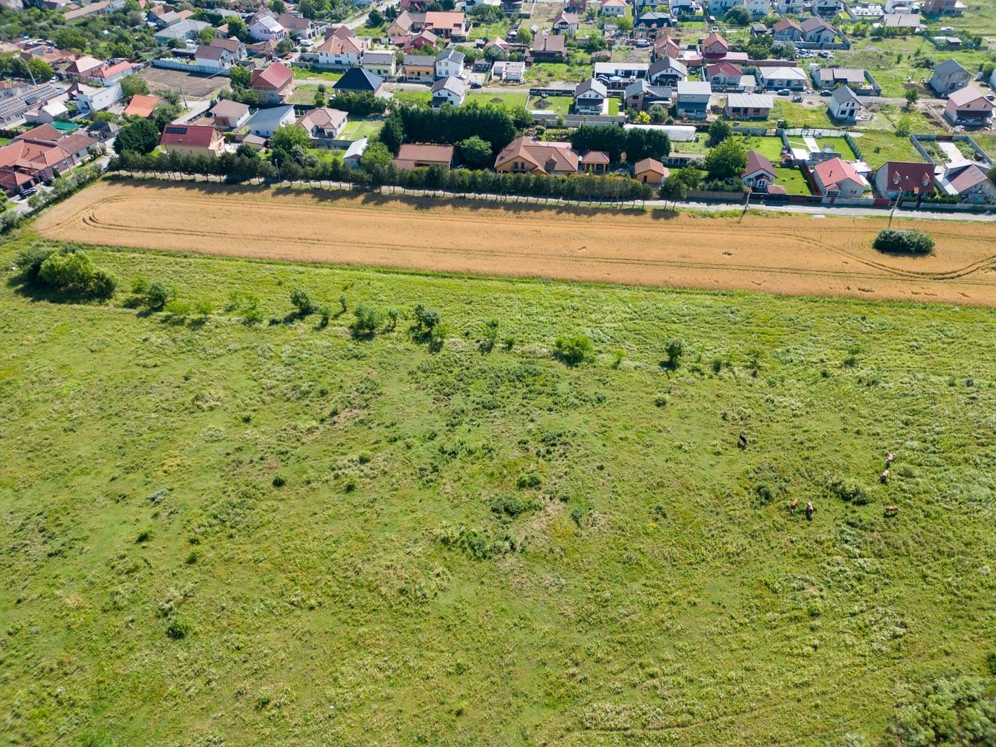 Loc de casă/teren intravilan în Bujac - Poză 8