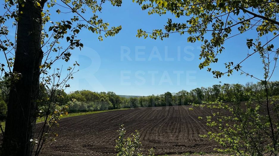 Vânzare, teren agricol, 90 ha, Orhei, satul Seliște - Poză 11