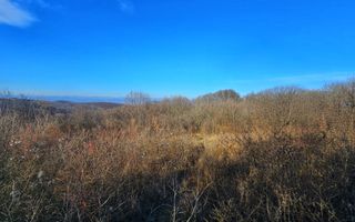 Teren intravilan 1.000 mp – Seciu, 2 deschideri, Priveliște panoramica - Poză 12