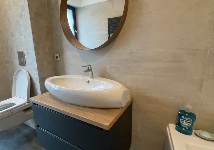 Vila exclusivista || Iancu Nicolae || Prima inchiriere - Poză 5