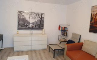 Apartament de inchiriat cu 2 camere, decomandat, et.1, TINERETULUI-PIATA NORILOR - Poză 2