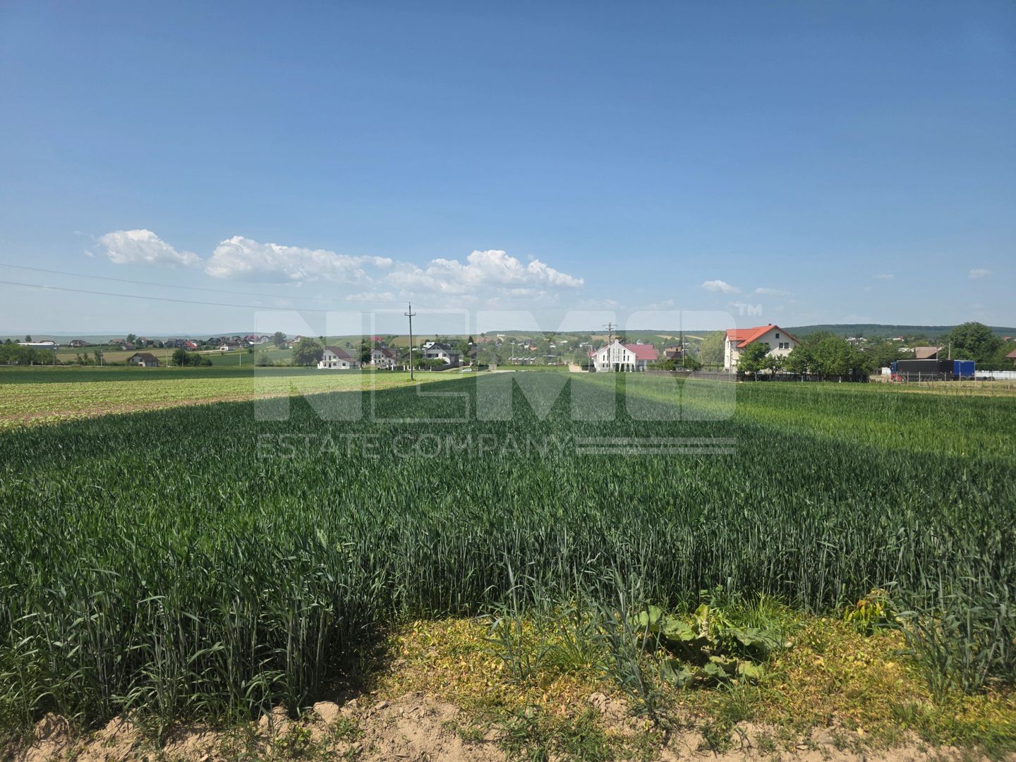 TEREN EXTRAVILAN | MITOCU DRAGOMIRNEI | 2.600 Mp - Poză 5