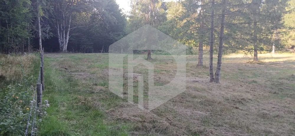 Teren Valea Avrigului- 900 mp- Intravilan+ Certificat de urbanism - Poză 2