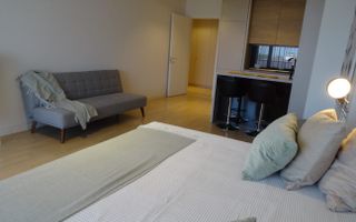 Studio Iancu Nicolae 133-Residence 5 - Poză 5