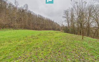 Casă cu teren de 24.679,73 mp, în Hălmagiu, Arad - Poză 23