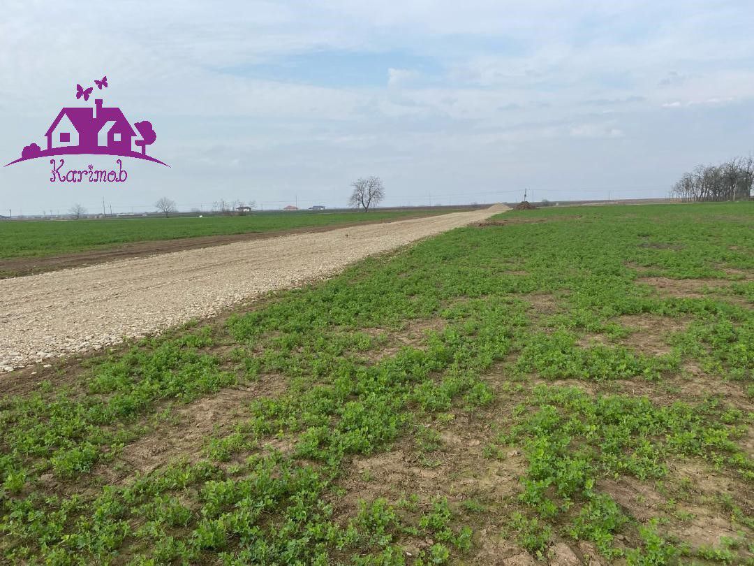 Teren industrial pentru hale - Poză 3