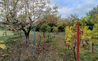 Casă 4 camere de închiriat | Curte mare | Dumbrăvița - Poză 33