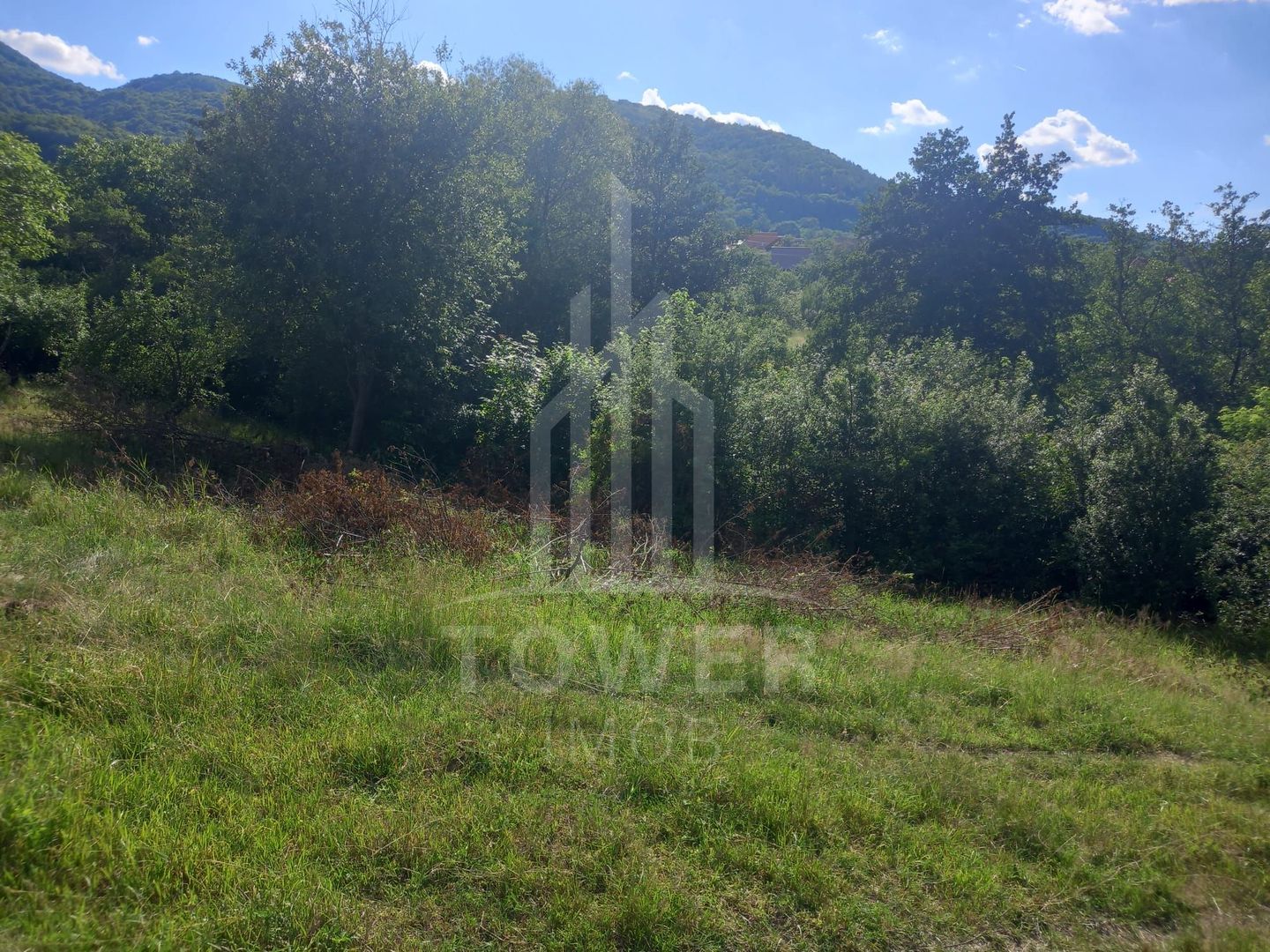 Teren în Fântânele – 3.673 mp, pârâu si cadru natural  deosebit - Poză 4