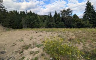 Parcele teren intravilan cu utilitati-panoramic-Colibita - Poză 3