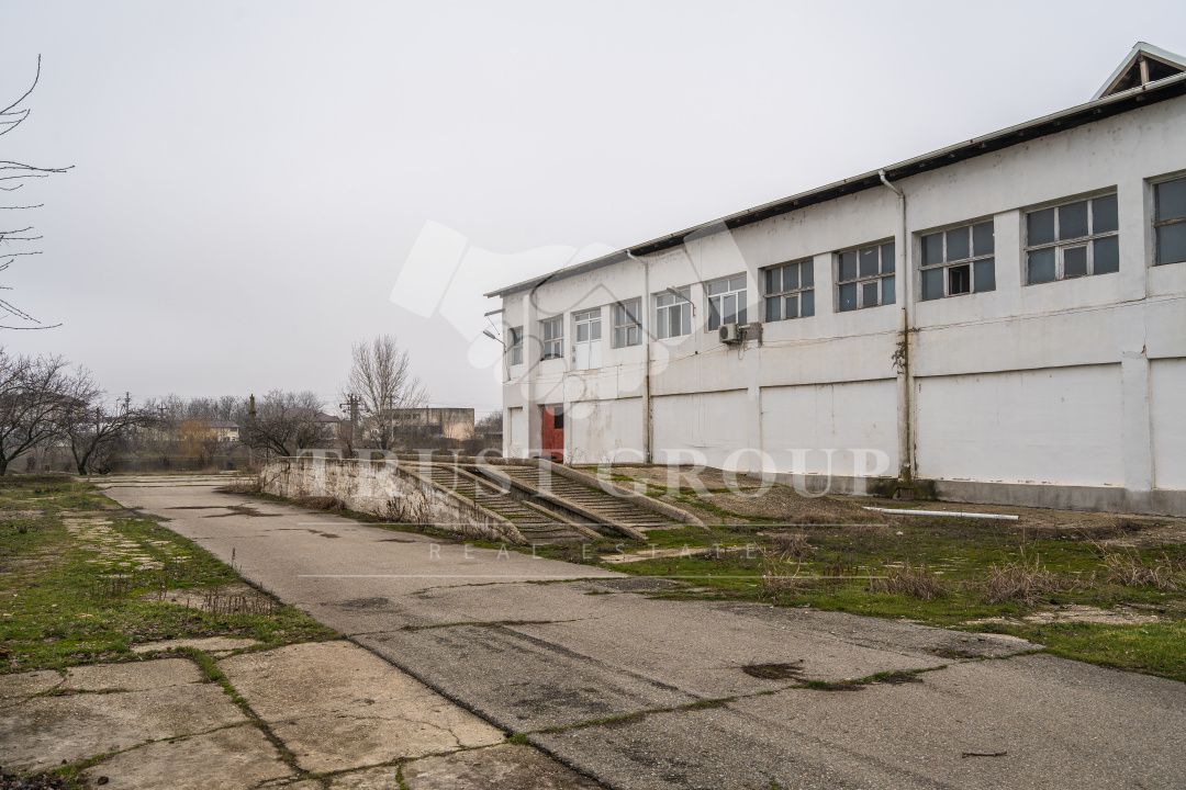Teren 28.788m + Hale industriale + Sediu Firma - Poză 38