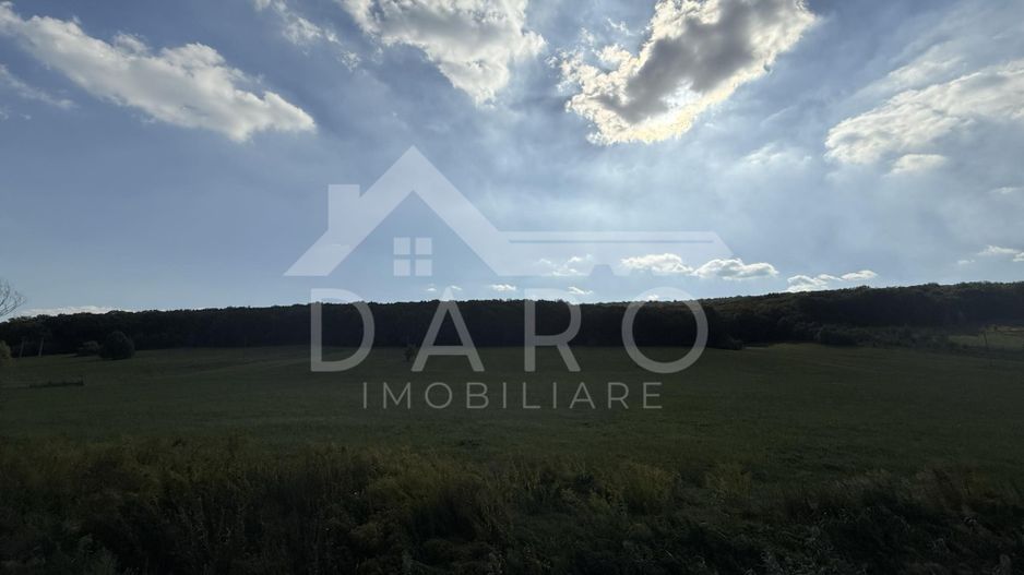 Teren intravilan budiu mic 9700 m², perfect pentru complex rezidențial - Poză 2