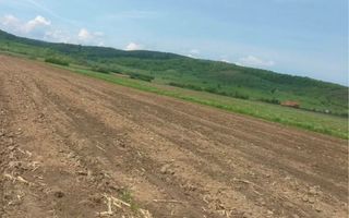 Teren | Extravilan | Oportunitate Investiție | 10 000 MP | Bradu - Poză 2