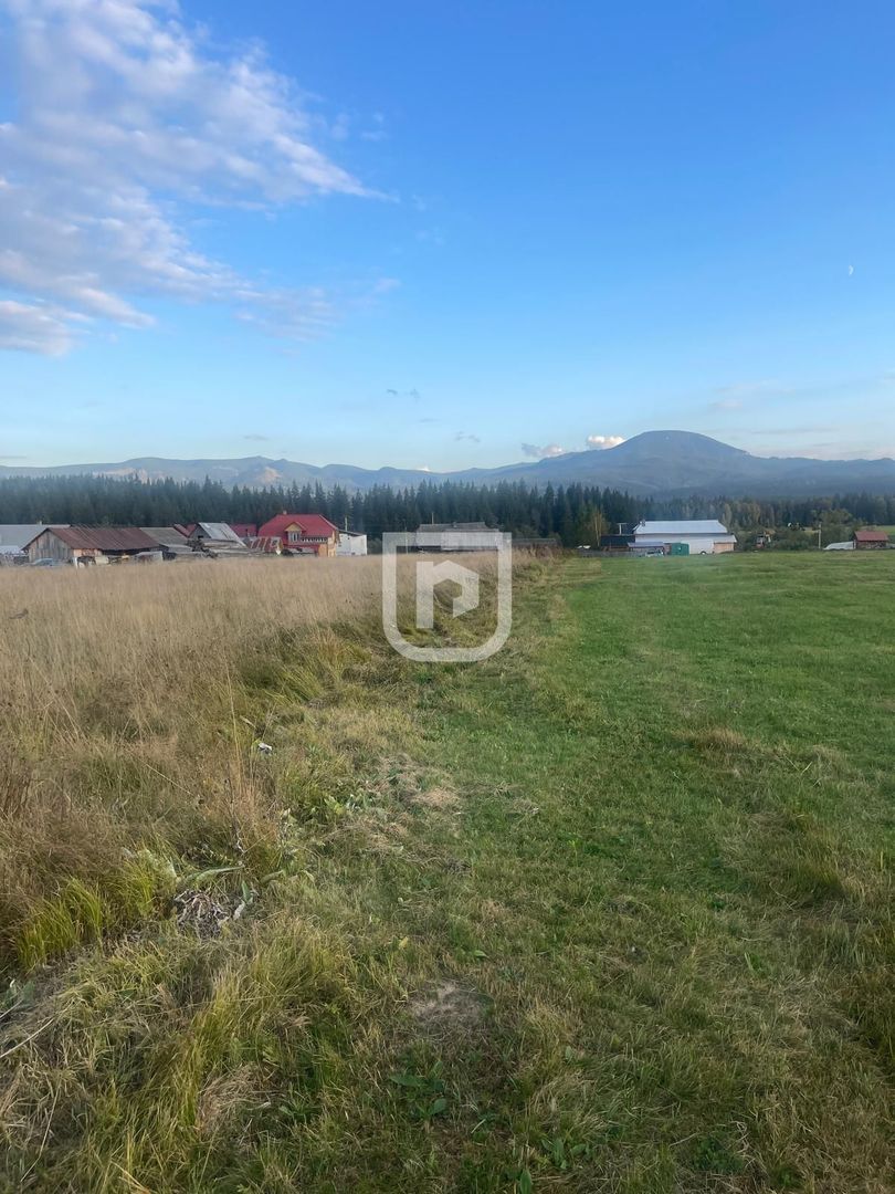 Teren intravilan  – Poiana Stampei 🌲 - Poză 2