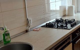 De închiriat apartament 2 camere, mobilat și tilat, Titan – Parc IOR - Poză 3