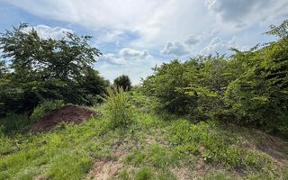 Teren intravilan 498,02 mp langa pădure , strada privata Corbeanca - Poză 11