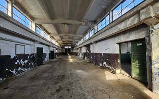 Vanzare amplasament industrial-servicii Tatarasti, Teleorman - Poză 16