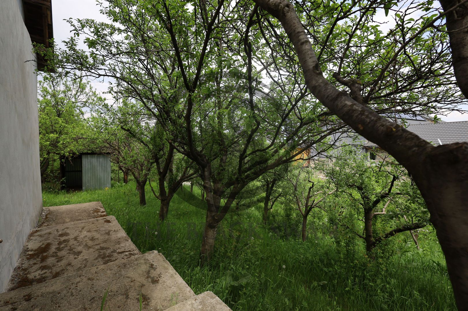 Casa 4 camere de vanzare | 1311 mp | Varfurile, Prahova | Comision 0% - Poză 7