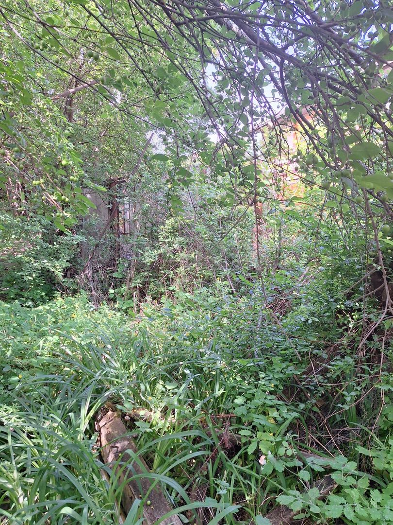 Casă cu 3 camere și teren generos, în Andrei Mureșanu - Poză 10