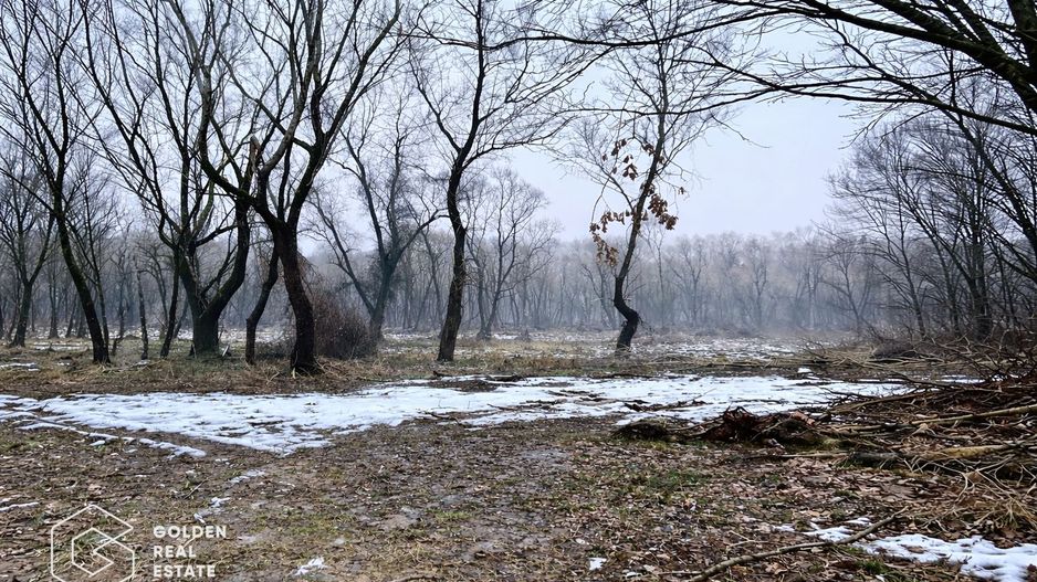 Teren 3.900 mp, Lipova – Șoimoș - Poză 3