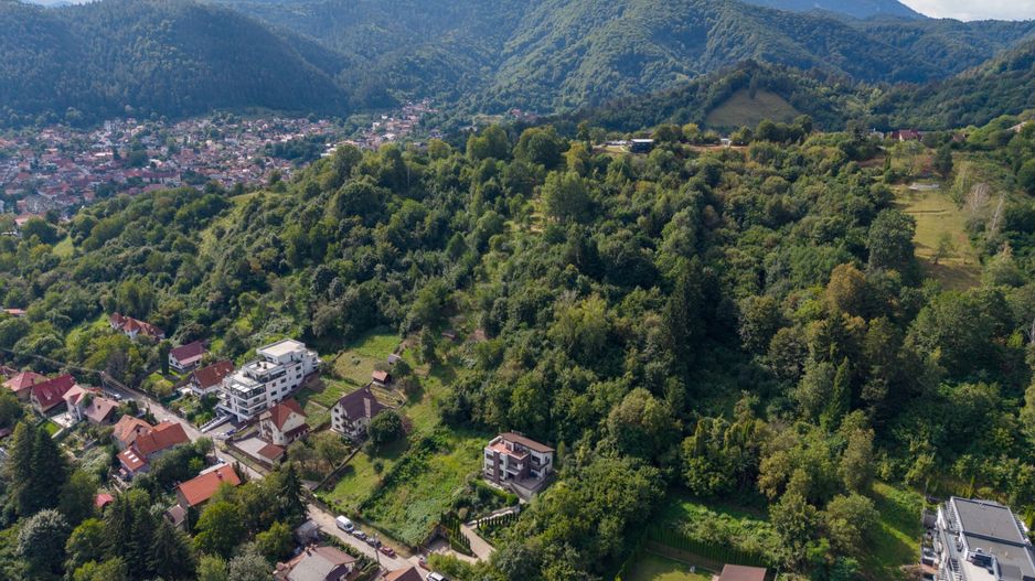COMISION 0% | TEREN 2.969 MP CU POTENȚIAL | DUPĂ INIȘTE | BRAȘOV - Poză 2