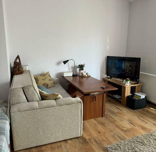 Apartament 1 camera, ultracentral 30 mp - Poză 3