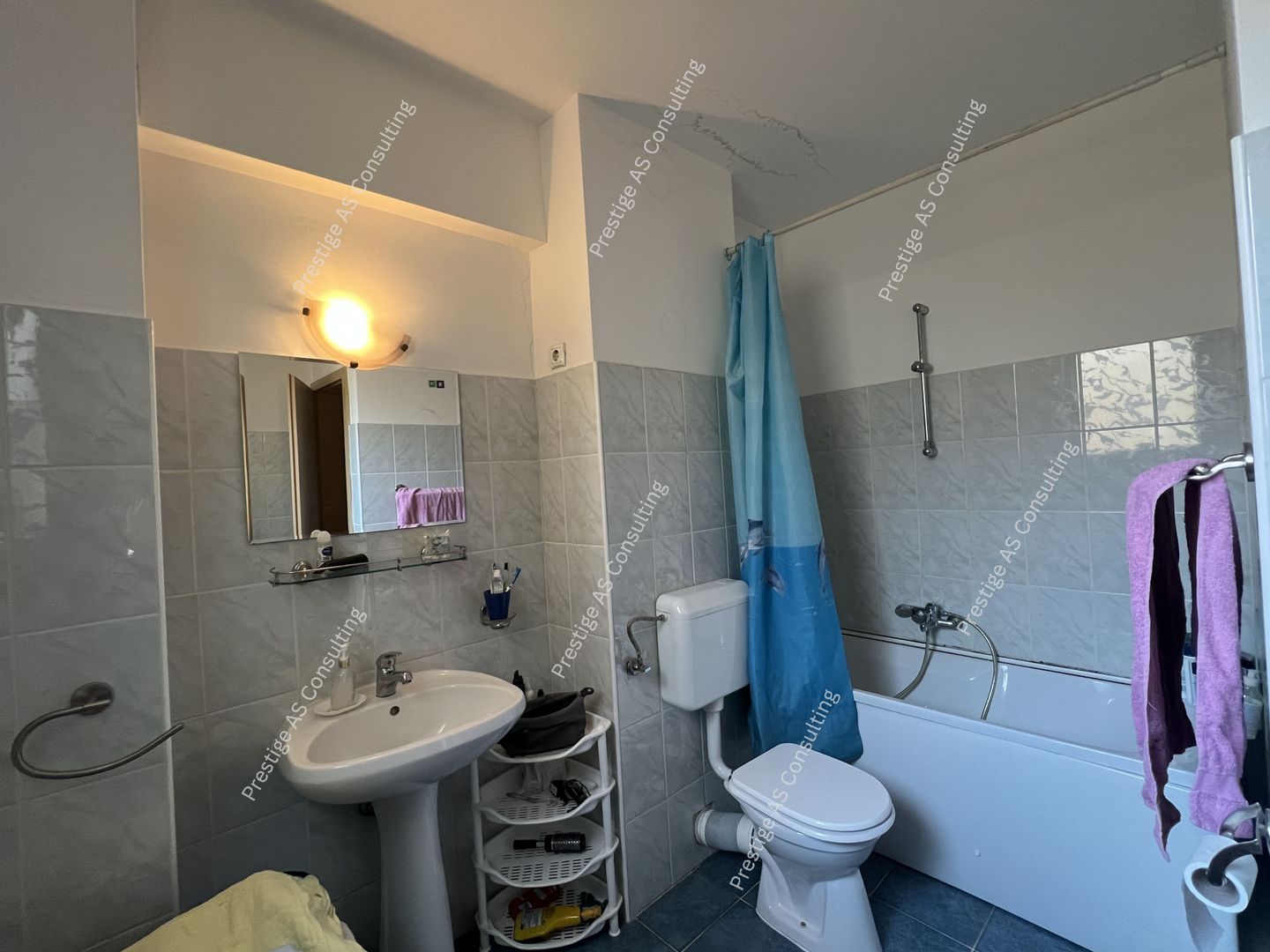 Apartament 2 Camere | Etaj 1 | C. Torontalului - Poză 10