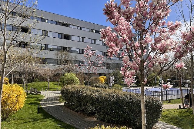 3 camere 75 mp SU + Balcon 8mp - Verdere curte interioară - Poză 18