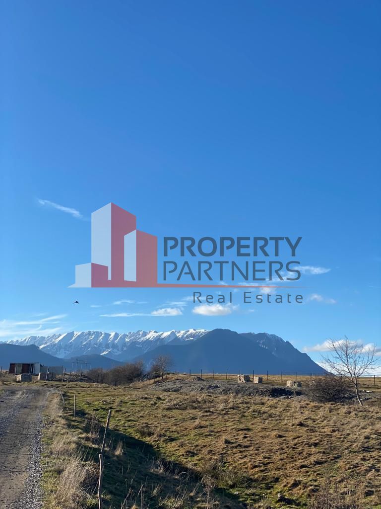 Teren Sohodol 10.000 mp - Poză 1