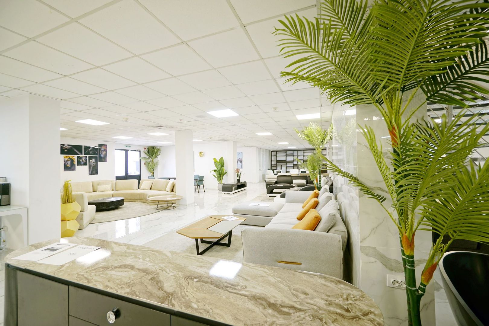 Spatiu comercial 2000 mp,Valea Cascadelor - Poză 14