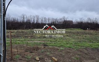 NECTORA IMOB-Teren Intravilan 501 mp, cu front 19ml, Nojorid,Utilitati - Poză 2