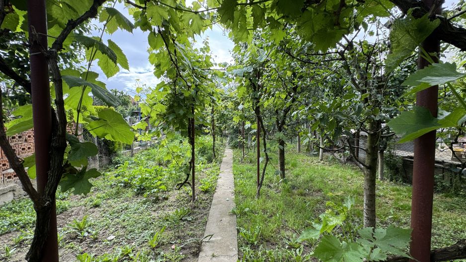 Casa in Lugoj pe Str. Fagetului - Poză 4