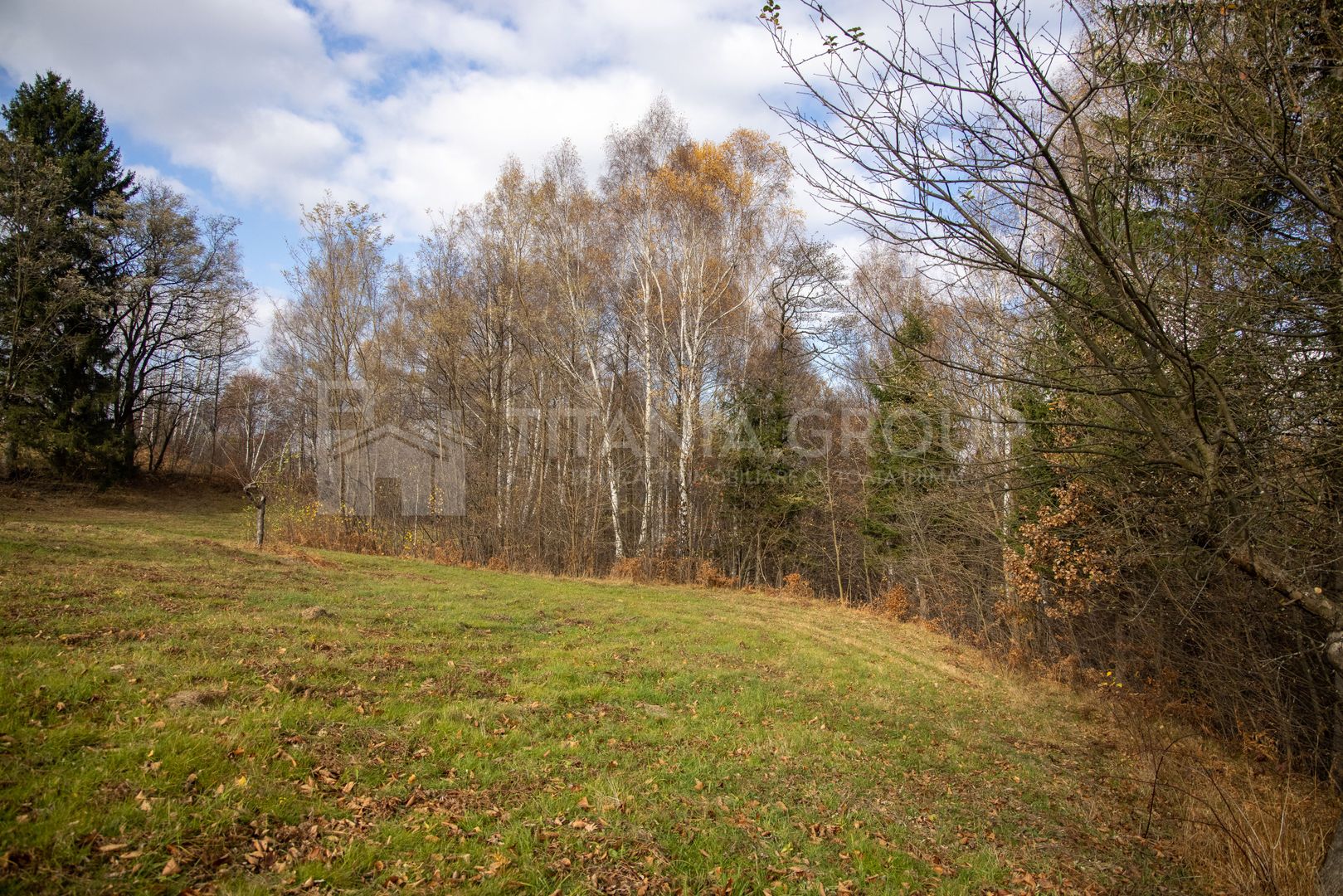 Teren intravilan, cu PUZ, Bran Tohanita,  SE ACCEPTĂ ȘI SCHIMB - Poză 20