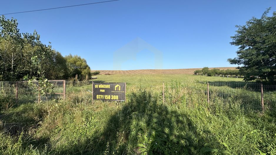 Vanzare teren 2936 mp, zona strada Dealu Fanatelor - Poză 2