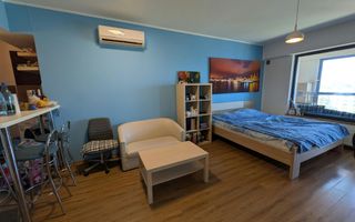 Studio Vedere Lacul Morii 43 Mp Lake House Virtuții - Poză 4