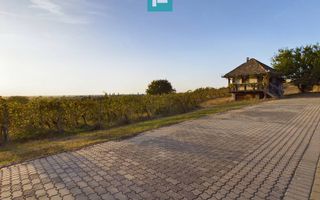 Pivnițele Birăuaș D.O.C Miniș - RATE FĂRĂ DOBÂNDĂ - Poză 17