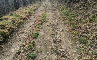 Un colt de rai in Apuseni I viața ca pe vremuri - Poză 4