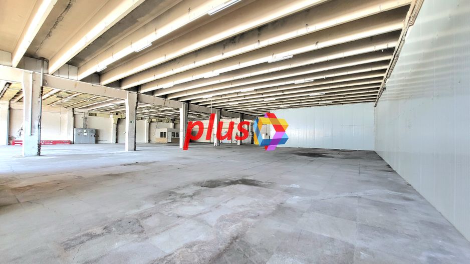 Spatiu industrial - 1229 mp  # plus-imo.ro - Poză 3