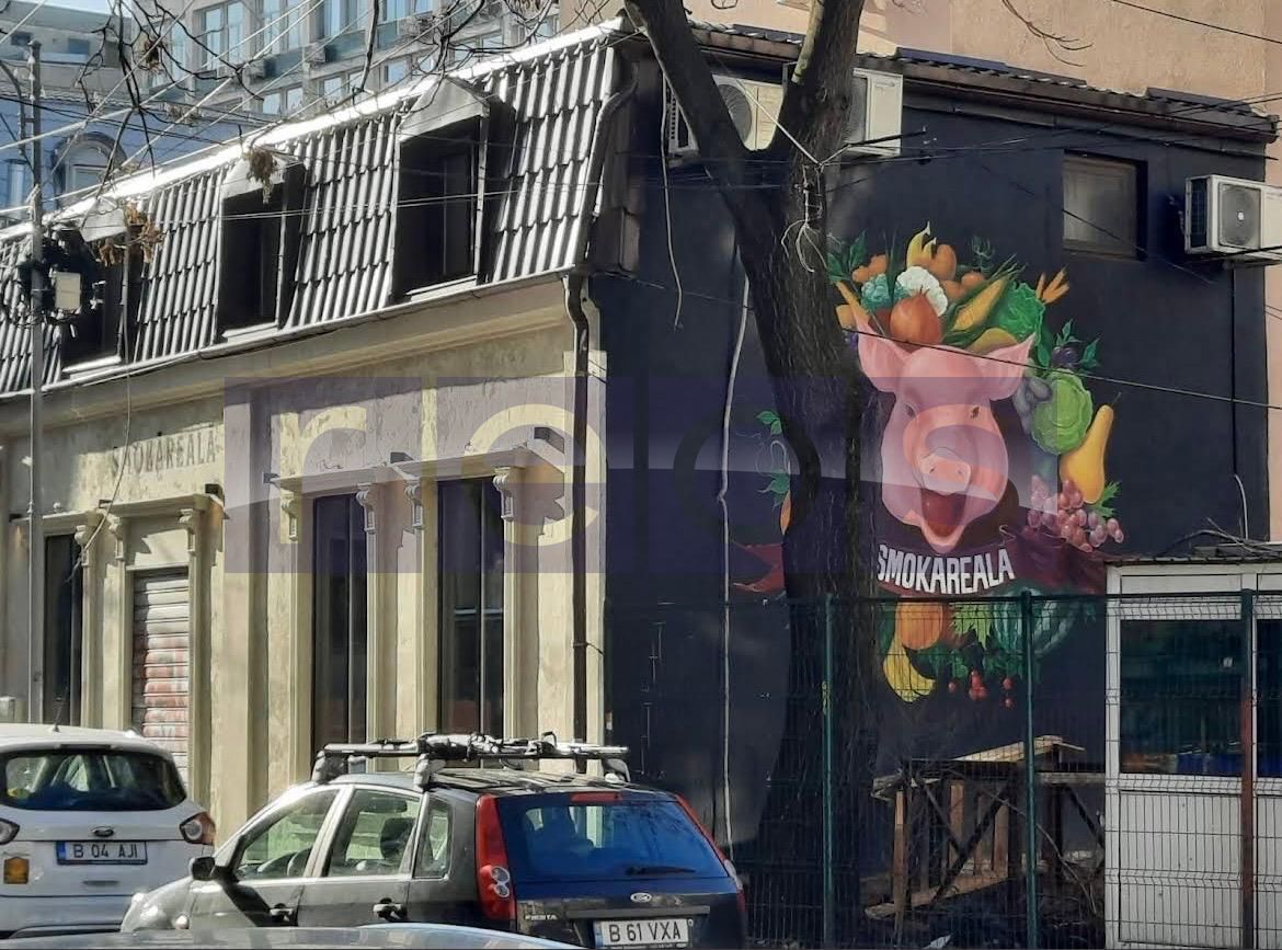 VANZARE CASA VILA PIATA ROMANA AMZEI ULTRACENTRAL INVESTITIE 135MP - Poză 3