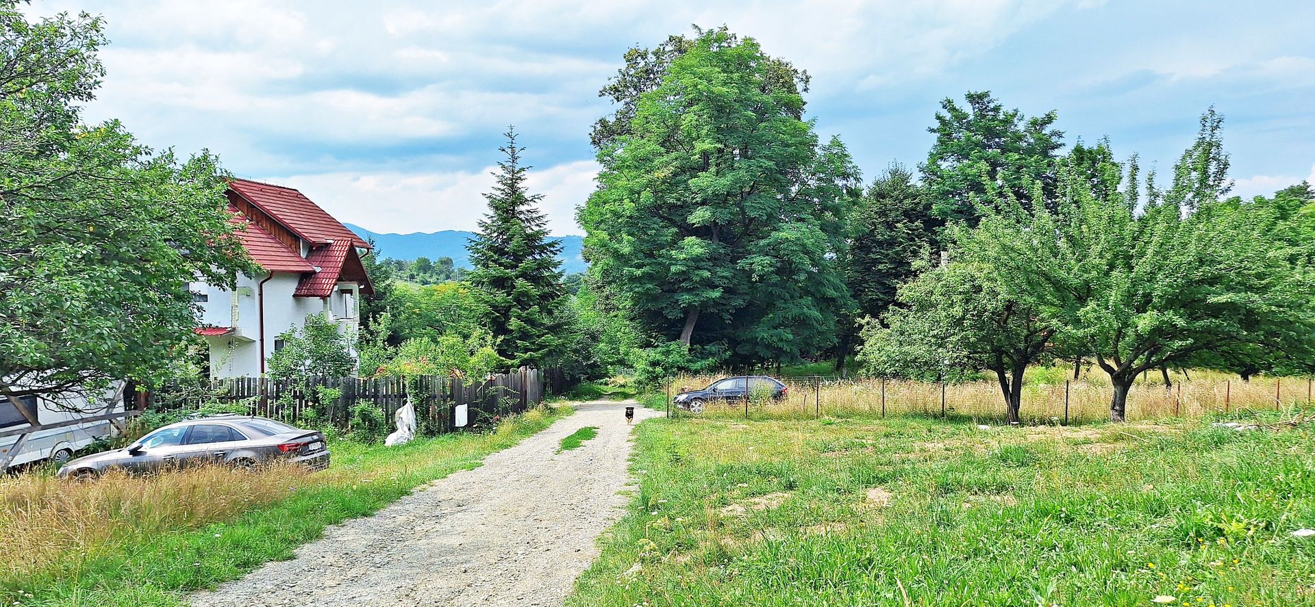 Bran- Predelut, 1000mp teren pentru casa de vacanta, pret 45 euro/mp - Poză 7