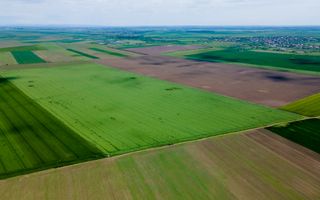 Teren de 5Ha în Satchinez. - Poză 2