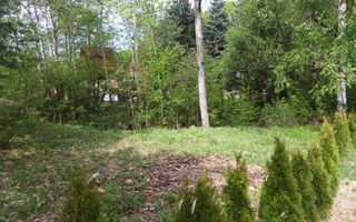 Teren pentru cabana, Marajdie deschidere la rau Gura Raului Sibiu - Poză 5