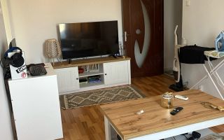 Apartament 4 camere Sagului - Poză 1
