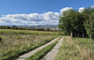 Teren intravilan zona Lătureni, nr. 100, schimb cu gars. + dif./parcel