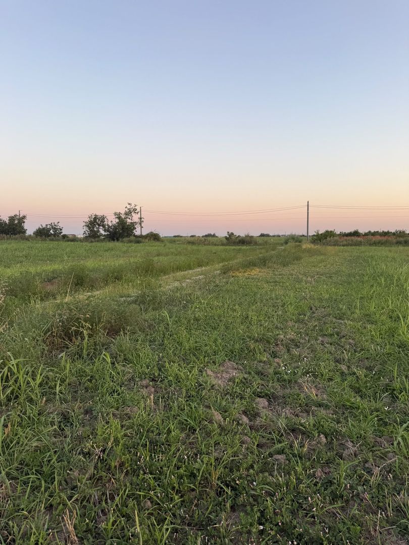Ideal Investitie - Str Ctin Brancoveanu, zona noua, intravilan in noul PUG - Poză 12