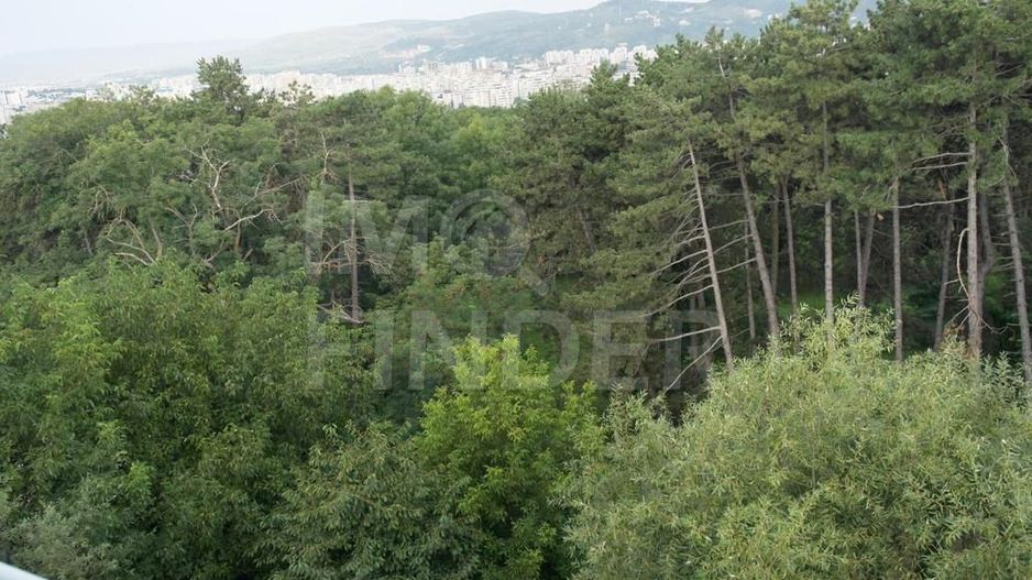 Apartament Zorilor pentru UMF - Poză 4