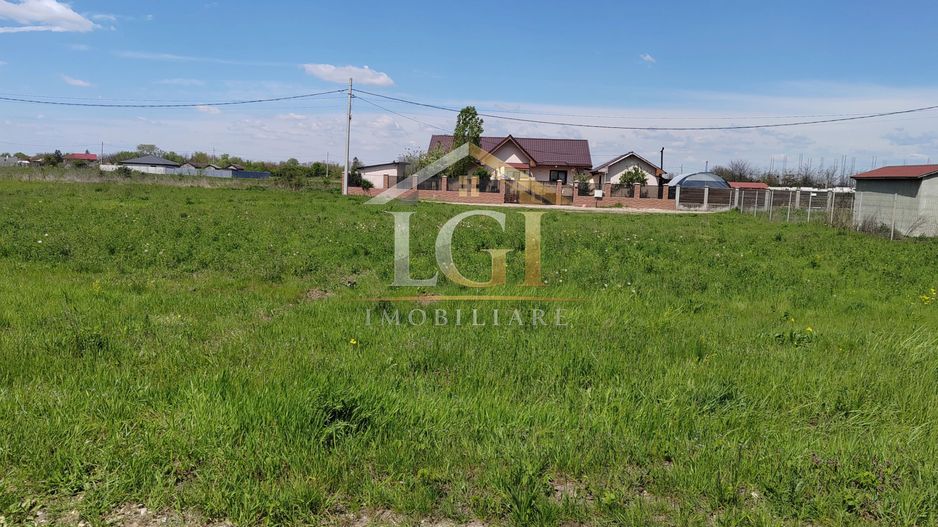 🌿 Teren de vânzare – Răcari, Str. Mestecenilor - Intrarea cu Tei - Poză 11